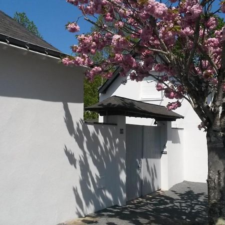 Chambre Et Salon Sur La Loire A Velo Les Ponts-de-Cé Buitenkant foto