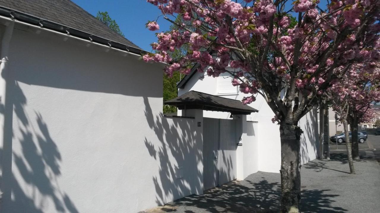 Chambre Et Salon Sur La Loire A Velo Les Ponts-de-Cé Buitenkant foto