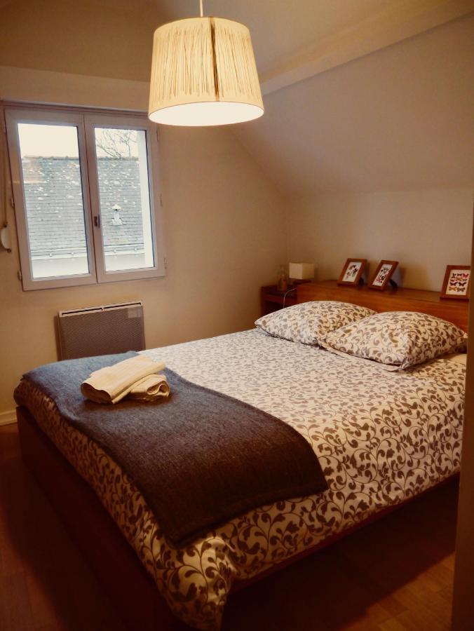 Chambre Et Salon Sur La Loire A Velo Les Ponts-de-Cé Buitenkant foto